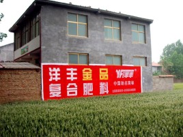 鹤庆如何让墙体广告展现最大化效果